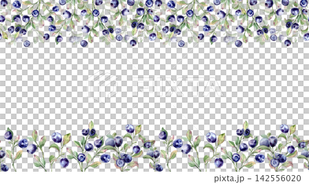 Fresh bilberries and blueberries on greenery branches watercolor seamless border isolated white. Horizontal repeat pattern with northern wild berry shrubs. Botanical edge design for menu cards. Fresh bilberries and blueberries on greenery branches watercolor seamless border isolated white. Horizontal repeat pattern with northern wild berry shrubs. Botanical edge design for menu cards. 142556020