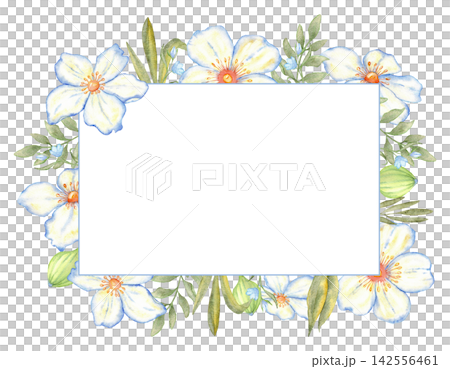 White floral watercolor frame template with soft blue flowers and green foliage for spring invitation background and stationery design. For wedding, first communion, baptism, save the date. Copy space White floral watercolor frame template with soft blue flowers and green foliage for spring invitation background and stationery design. For wedding, first communion, baptism, save the date. Copy space 142556461