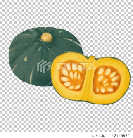 Watercolor pumpkin set Watercolor pumpkin set 142556624