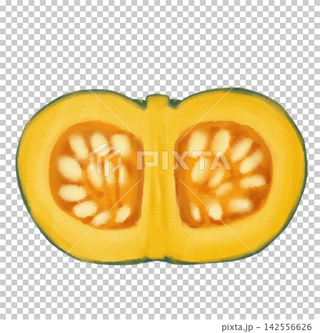 水彩で描いた半分のかぼちゃ 水彩で描いた半分のかぼちゃ 142556626
