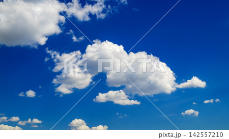 a large prominent white cumulus cloud centered in a vibrant clear blue sky a large prominent white cumulus cloud centered in a vibrant clear blue sky 142557210