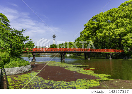大阪 天王寺 天王寺公園 河底池 和気橋と通天閣 大阪府大阪市 大阪 天王寺 天王寺公園 河底池 和気橋と通天閣 大阪府大阪市 142557537