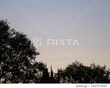 夕暮れ 142557625