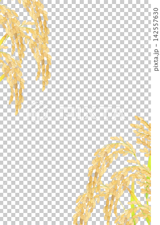 稻稈/穀粒邊框 - 手繪水彩插畫背景素材 稻稈/穀粒邊框 - 手繪水彩插畫背景素材 142557630