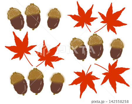 紅葉したモミジとどんぐり　秋イメージ 142558258