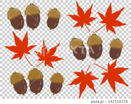紅葉したモミジとどんぐり　秋イメージ 142558258