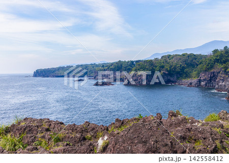 城ヶ崎海岸で望む風景 城ヶ崎海岸で望む風景 142558412