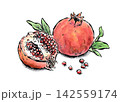 絵手紙風の筆ペンと水彩で描いた柘榴のイラスト 142559174