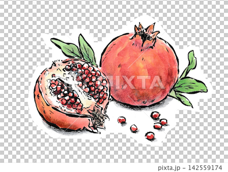 An illustration of a pomegranate drawn with a brush pen and watercolors in the style of a picture postcard. 142559174