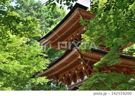 浄瑠璃寺 国宝 三重塔(京都府木津川市) 浄瑠璃寺 国宝 三重塔(京都府木津川市) 142559200