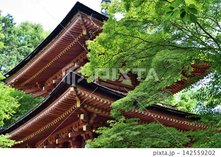 浄瑠璃寺　国宝　三重塔(京都府木津川市) 142559202