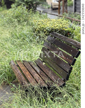 雨の日の緑に囲まれた遊歩道沿いの木製ベンチ 雨の日の緑に囲まれた遊歩道沿いの木製ベンチ 142559840