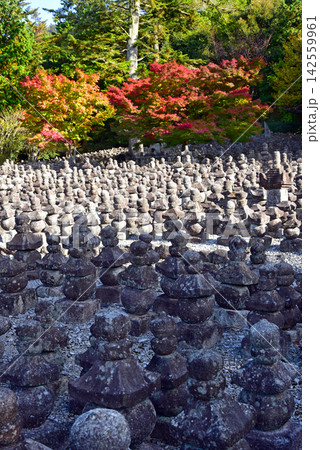秋の湖東　引接寺 142559961