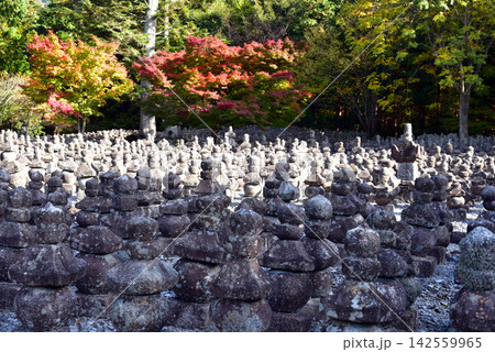 秋の湖東 引接寺 秋の湖東 引接寺 142559965