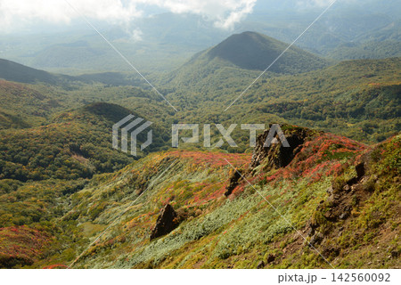 初秋の栗駒山 東北の深い森は徐々に色づきやがて錦秋となる 初秋の栗駒山 東北の深い森は徐々に色づきやがて錦秋となる 142560092