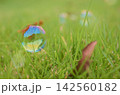 芝生とシャボン玉と落ち葉 142560182