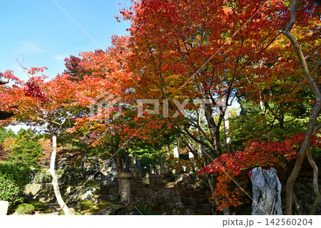 秋の湖東　引接寺 142560204
