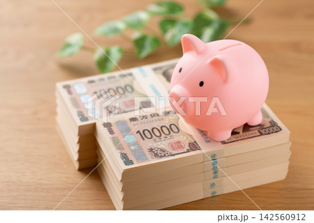 一千万円の札束とピンクの豚の貯金箱 一千万円の札束とピンクの豚の貯金箱 142560912