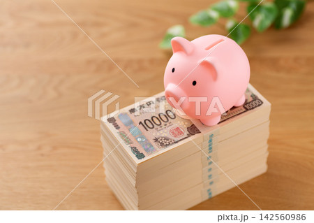1000万円の札束とピンクの豚の貯金箱 1000万円の札束とピンクの豚の貯金箱 142560986