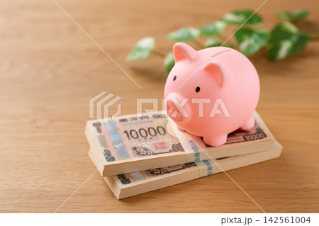 200万円の札束とピンクの豚の貯金箱 200万円の札束とピンクの豚の貯金箱 142561004