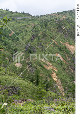 夏の緑豊かな国道292号線見晴台からの山岳風景 夏の緑豊かな国道292号線見晴台からの山岳風景 142561106