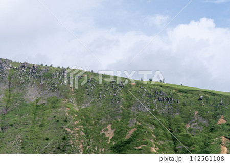 夏の緑豊かな国道292号線見晴台からの山岳風景 夏の緑豊かな国道292号線見晴台からの山岳風景 142561108