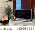 観葉植物とテレビのある落ち着いたリビングルーム 142561154