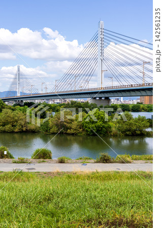 夏の大阪市の城北ワンドと菅原城北大橋の風景 142561235