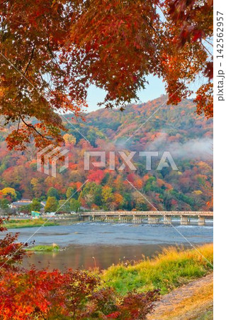 秋の京都嵐山/渡月橋と紅葉 秋の京都嵐山/渡月橋と紅葉 142562957