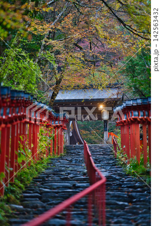秋の京都／貴船神社と紅葉 142563432