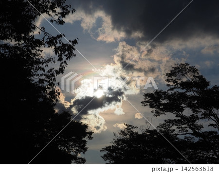 幻想的な夕景 幻想的な夕景 142563618