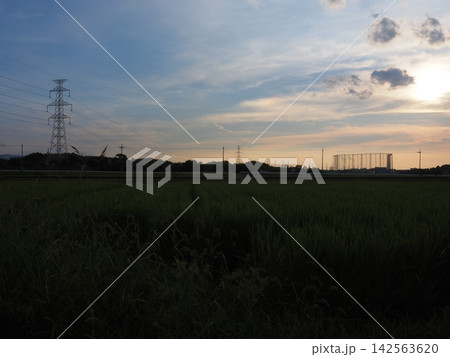 幻想的な夕景 幻想的な夕景 142563620