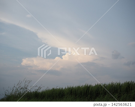 幻想的な夕景 幻想的な夕景 142563621