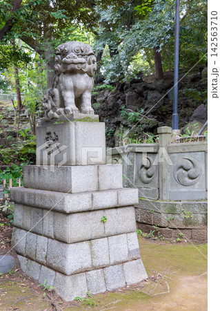 緑豊かな神社の狛犬 緑豊かな神社の狛犬 142563710