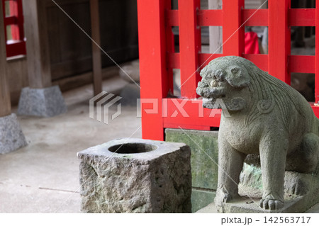 歴史ある神社の狛犬と 142563717