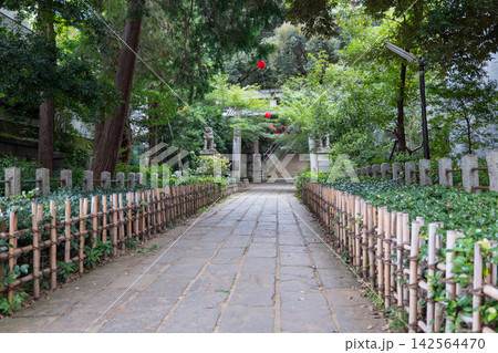 緑豊かな神社の参道 緑豊かな神社の参道 142564470