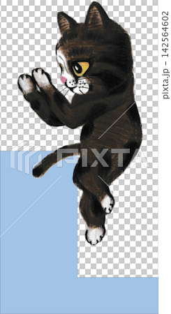 L. Cat enjoying yoga L. Cat enjoying yoga 142564602