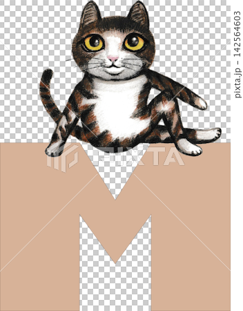 M. Cat enjoying yoga 142564603