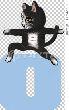 O. A cat enjoying yoga O. A cat enjoying yoga 142564605