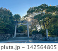 青空と木漏れ日に包まれた豊國神社の鳥居 142564805