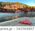 紅葉に彩られた寺院の池と並ぶ赤いだるま 142564807