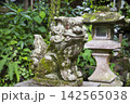 神社にある狛犬 142565038