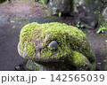 苔むすカエルの石像 142565039