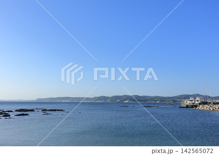 神奈川県・横須賀市・長井荒井漁港 神奈川県・横須賀市・長井荒井漁港 142565072