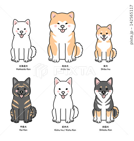 6種類の日本犬(お座り・正面)のセットのベクターイラスト 6種類の日本犬(お座り・正面)のセットのベクターイラスト 142565117