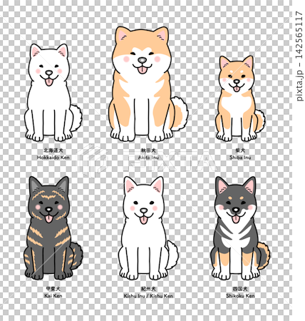 6種類の日本犬(お座り・正面)のセットのベクターイラスト 6種類の日本犬(お座り・正面)のセットのベクターイラスト 142565117