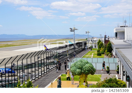 兵庫 神戸 神戸空港 展望デッキ(晩夏) 兵庫 神戸 神戸空港 展望デッキ(晩夏) 142565309