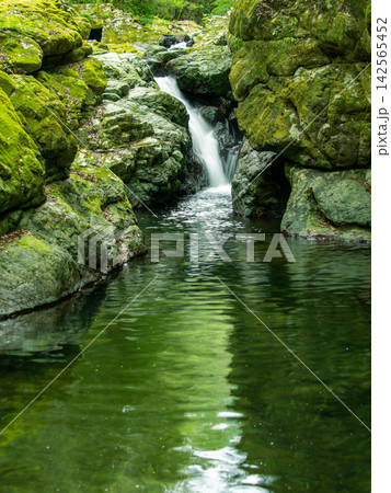 苔むす渓流の小滝 142565452
