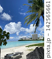 ビーチの画像 142565661
