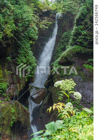 群馬県みなかみ町 木の根沢 大沢 大瀑の光芒 群馬県みなかみ町 木の根沢 大沢 大瀑の光芒 142566749